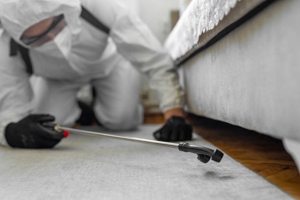 Professional Cockroach Control technician working in Cortez, FL